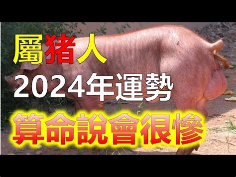 1971屬豬2024運勢豬女|豬女53歲後人生轉捩點